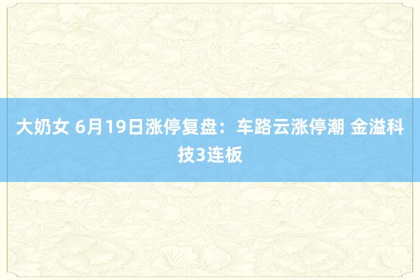大奶女 6月19日涨停复盘：车路云涨停潮 金溢科技3连板
