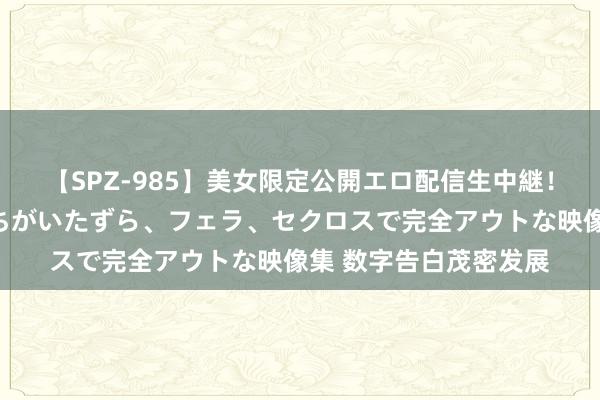【SPZ-985】美女限定公開エロ配信生中継！素人娘、カップルたちがいたずら、フェラ、セクロスで完全アウトな映像集 数字告白茂密发展