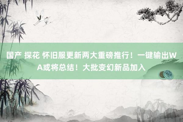 国产 探花 怀旧服更新两大重磅推行！一键输出WA或将总结！大批变幻新品加入