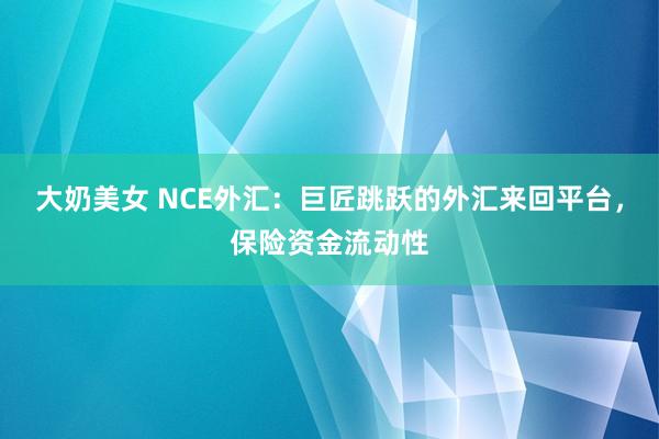 大奶美女 NCE外汇：巨匠跳跃的外汇来回平台，保险资金流动性
