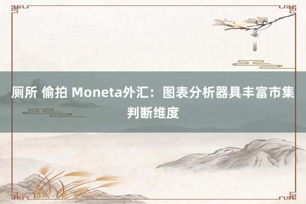 厕所 偷拍 Moneta外汇：图表分析器具丰富市集判断维度