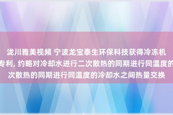 泷川雅美视频 宁波龙宝泰生环保科技获得冷冻机冷却水赞成散热安设专利， 约略对冷却水进行二次散热的同期进行同温度的冷却水之间热量交换