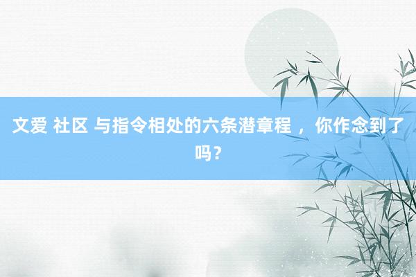 文爱 社区 与指令相处的六条潜章程 ，你作念到了吗？