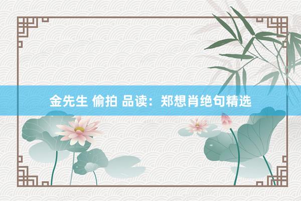 金先生 偷拍 品读：郑想肖绝句精选