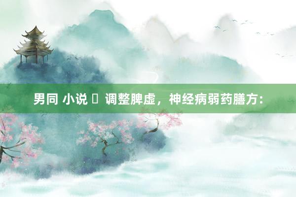 男同 小说 ​调整脾虚，神经病弱药膳方: